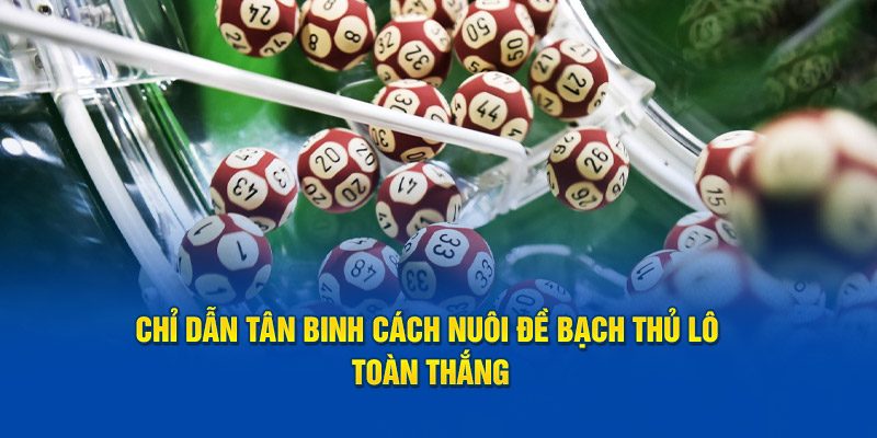 Chỉ dẫn tân binh cách nuôi đề bạch thủ lô toàn thắng