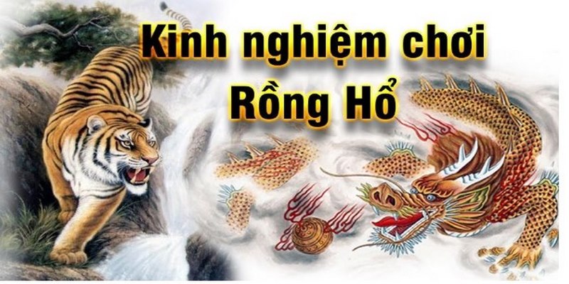 game rồng hổ kubet