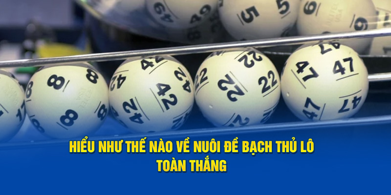 Hiểu như thế nào về cách nuôi đề bạch thủ lô toàn thắng 