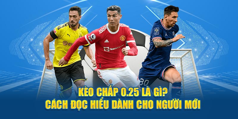 Kèo Chấp 0.25 Là Gì? Cách Đọc Hiểu Dành Cho Người Mới