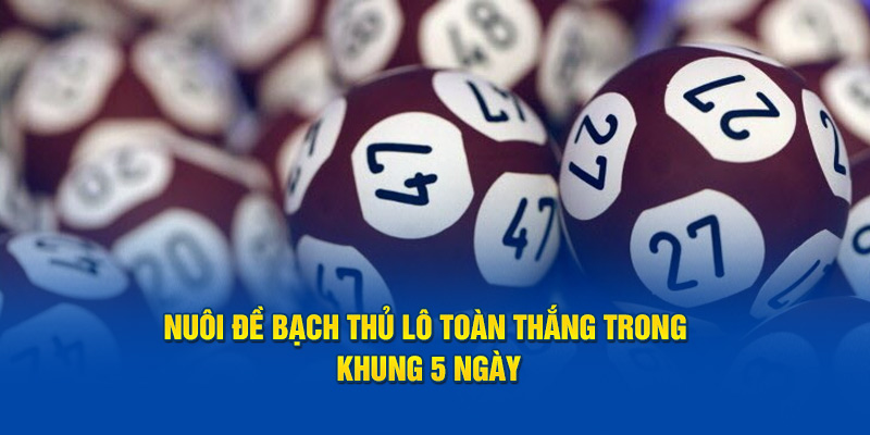 Cách nuôi đề bạch thủ lô toàn thắng trong khung của 5 ngày